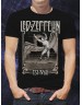 Мужская Футболка Led Zeppelin Faded Falling