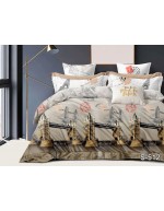 Постіль двоспальна з фотопринтом